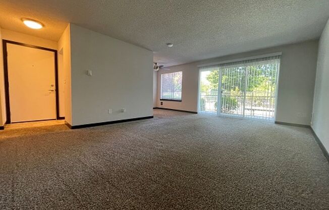 Normandy Duke Apartments