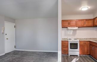 view of kitchen and living room