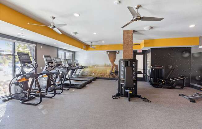 A gym with treadmills, exercise bikes, and a fan.