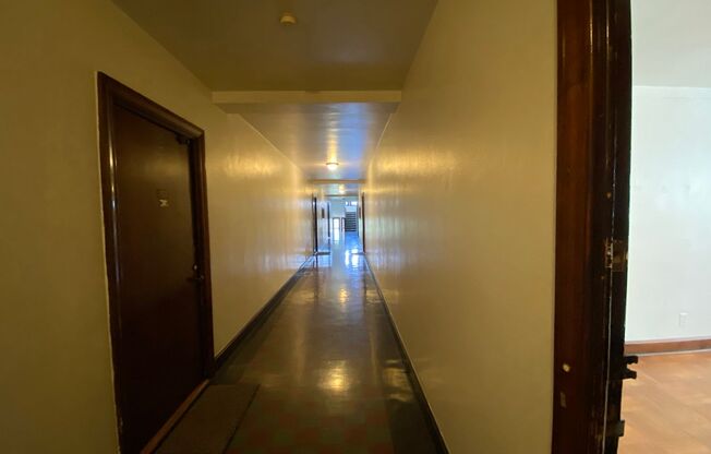Studio, 1 bath, 400 sqft, $790, Unit 206
