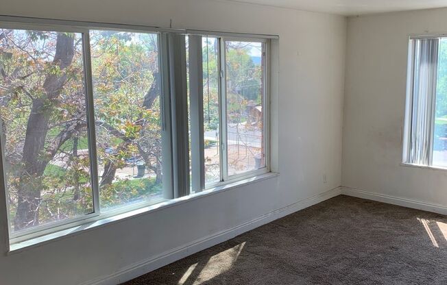 Studio apartment ONLY $995 !!