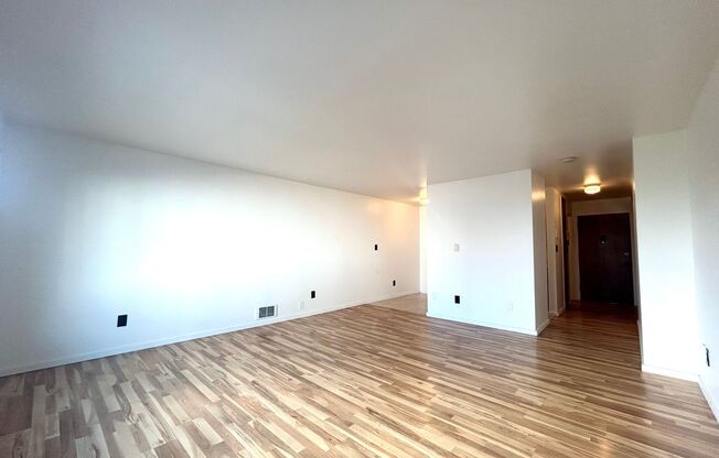 Studio, 1 bath, 464 sqft, $1,395, Unit 204