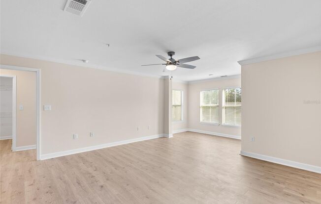 NEW TAMPA APARTMENT FOR RENT!