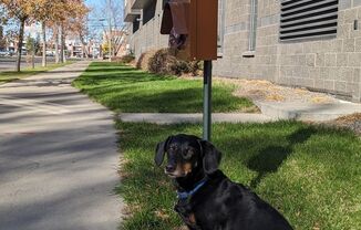 Partner-provided photo for $715 unit