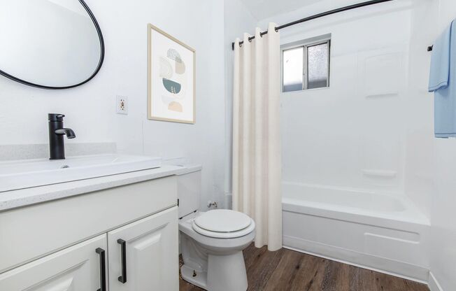 Studio, 1 bath, 500 sqft, $799, Unit 308