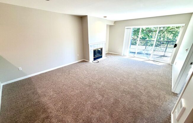 Bright and Spacious 1-Bedroom on the Magnolia/Interbay Border