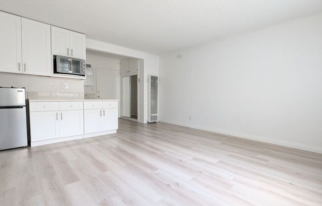 Studio, 1 bath, 263 sqft, $1,399, Unit 308