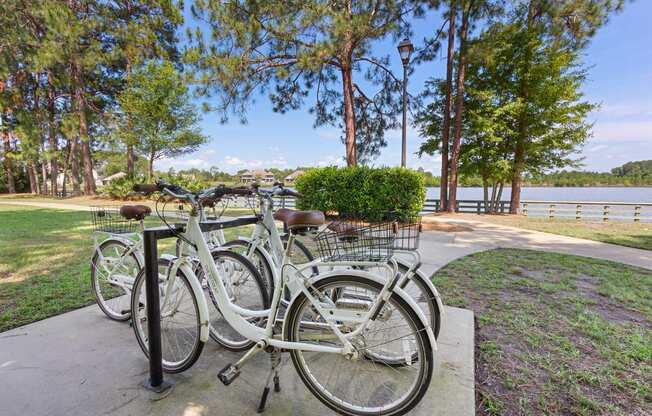 a row of white bicycles parked in front of a lake