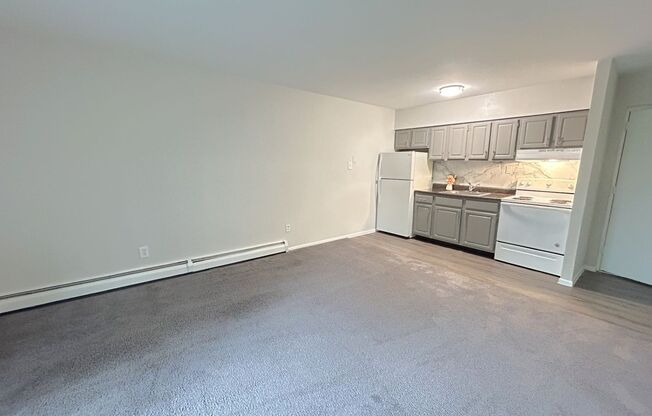 1 bed, 1 bath, 500 sqft, $1,089, Unit A103
