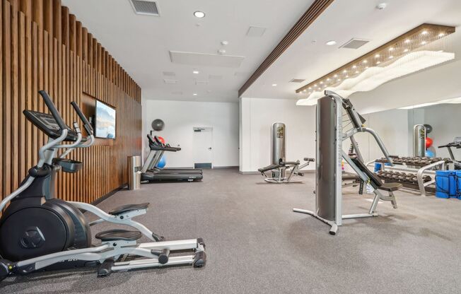 Begonia Place Luxury Apartments