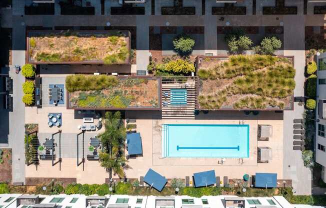 A swimming pool surrounded by greenery and trees.