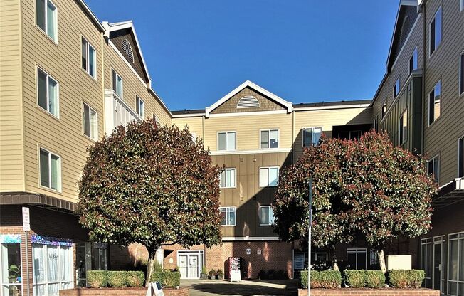 Studio, 1 bath, 462 sqft, $1,295, Unit 225