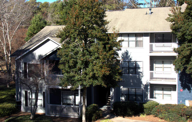 the apartment building is shown with a large tree in front of it