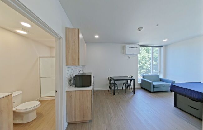 Studio, 1 bath, 314 sqft, $1,225, Unit 305