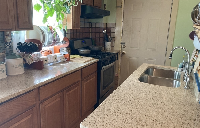 1 bed, 1 bath, 500 sqft, $1,250, Unit 1