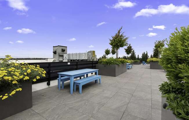 Landscaped Resident seating area with a blue bench and yellow flowers at Arabella Apartment Homes, Shoreline, 98155