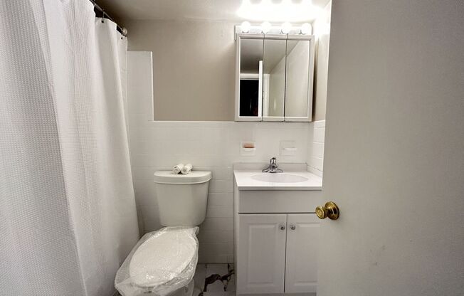 1 bed, 1 bath, 600 sqft, $1,189, Unit 207