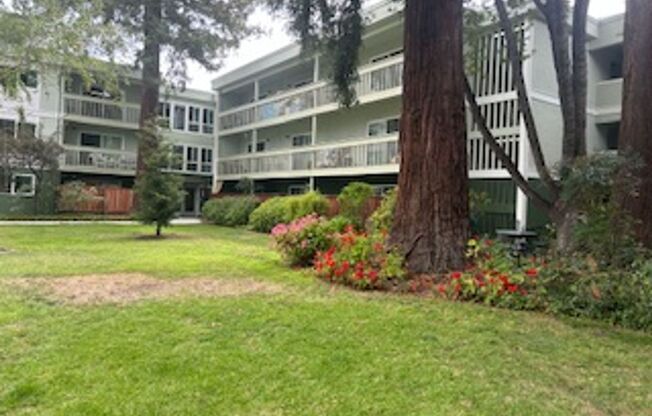 Studio, 1 bath, 500 sqft, $1,613, Unit Unit 219