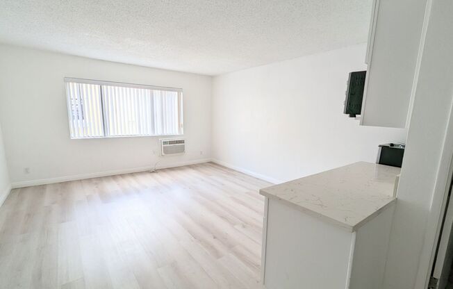 Studio, 1 bath, 263 sqft, $1,399, Unit 308