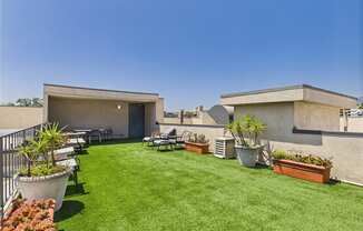 A backyard with a lawn and a patio.