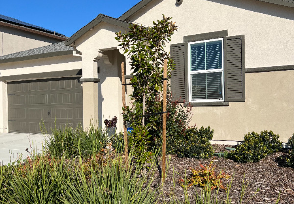 10424 SKYNYRD WAY