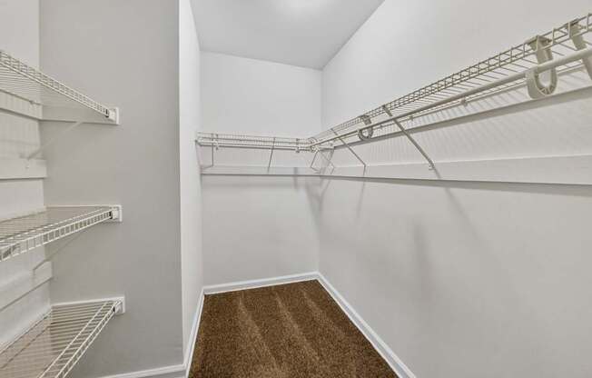 A walk-in closet with white shelving and a brown carpet.
