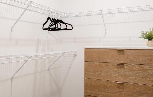 South Ridge Apartments Walk-In Closet