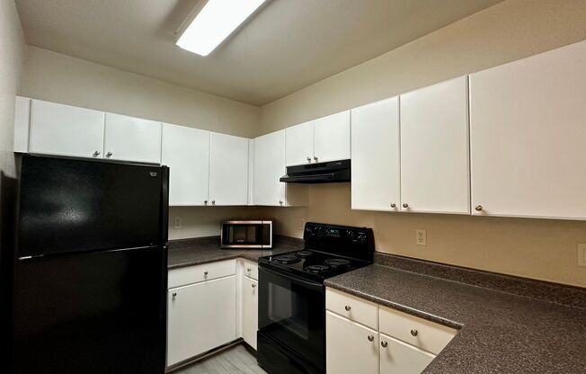 Chic 1-Bed, 1-Bath Apartment in the Heart of Downtown Orlando