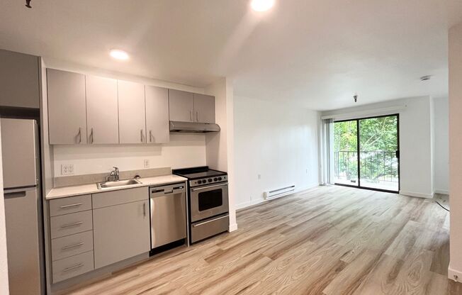 Studio, 1 bath, 480 sqft, $1,495, Unit 218