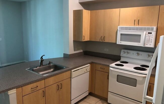 Beautiful 1/1 condo with great amenities