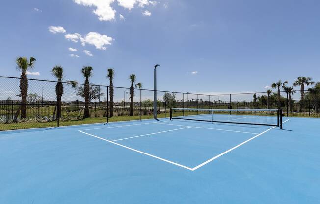 a blue tennis court with palm trees in the background at Concorde