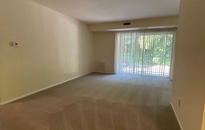 1 bed, 1 bath, 745 sqft, $1,750, Unit 14202 #204