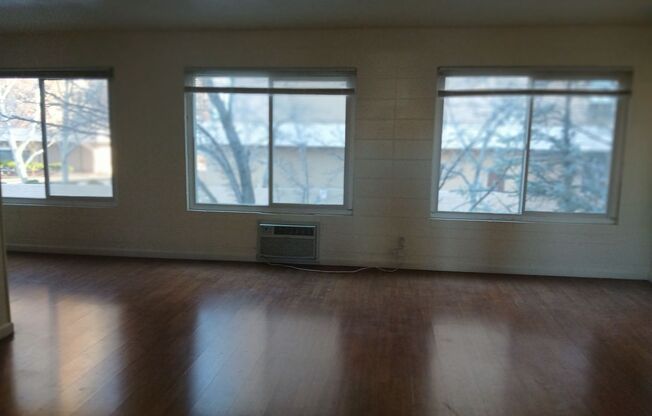 1 bed, 1 bath, 698 sqft, $1,199, Unit 127