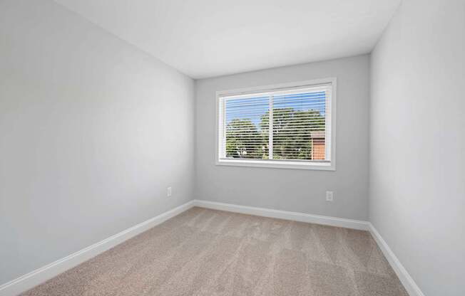 A room with a carpeted floor and a window with blinds.