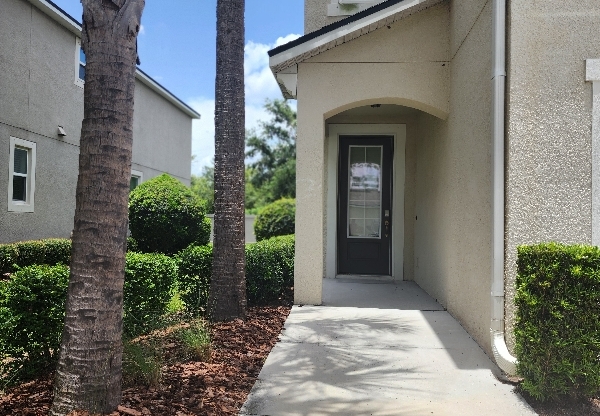 11704 CAMBIUM CROWN DR