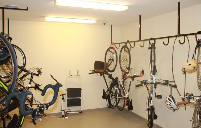 1 bed, 1 bath, 500 sqft, $2,195, Unit 105