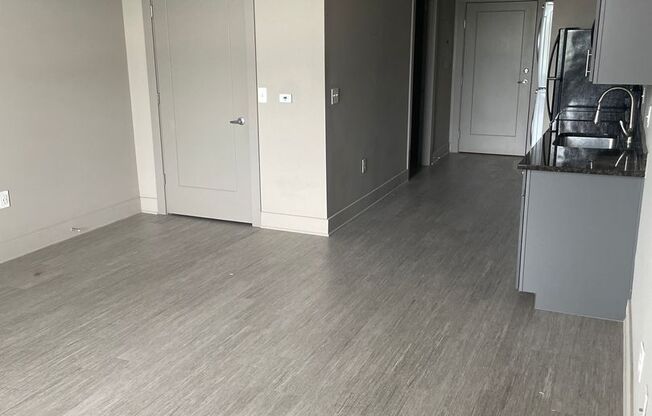 Studio, 1 bath, 456 sqft, $1,100, Unit 407