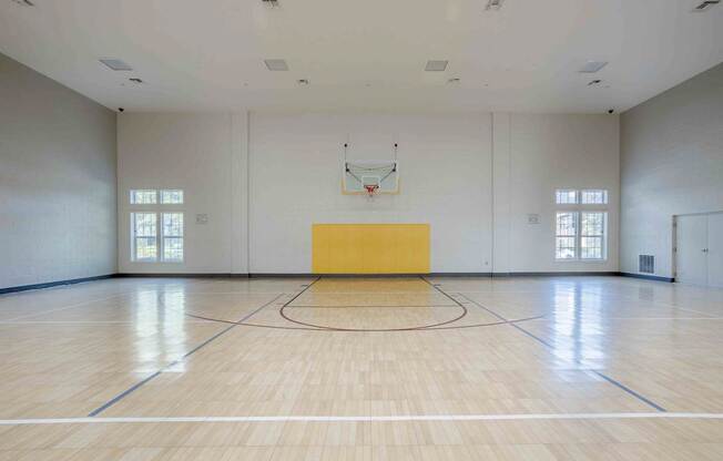 A basketball court with a yellow backboard and a basketball hoop.