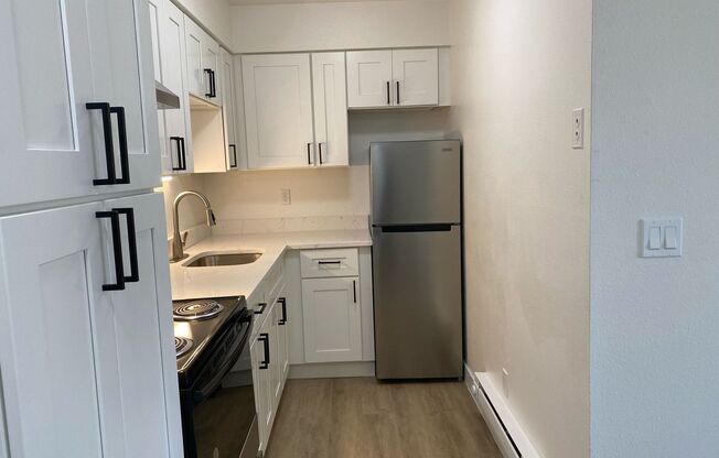 1 bed, 1 bath, 491 sqft, $1,025, Unit Unit 317