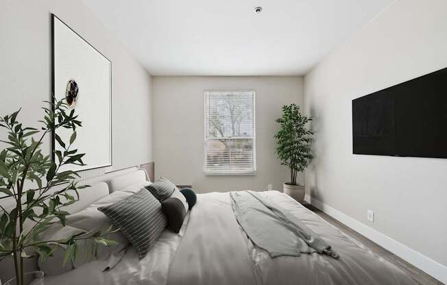 A bedroom with a large bed and a plant on the side table.