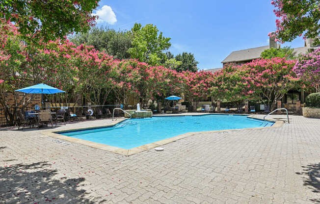 A pool surrounded by pink flowering trees.