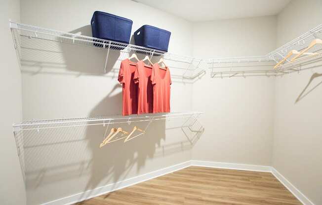 a spacious closet with a wood floor and white walls with a mirrored closet door