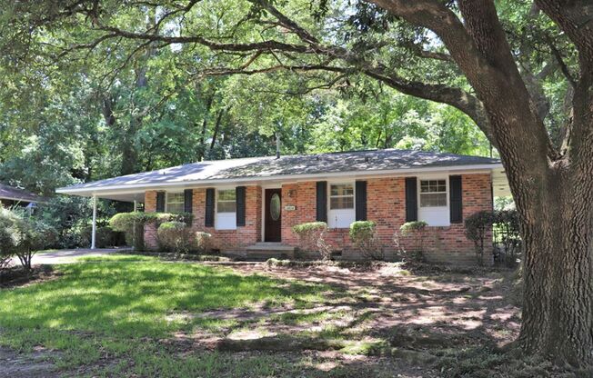 Classy & Comfortable 3 Bedroom / 1 Bathroom Home in Montgomery!