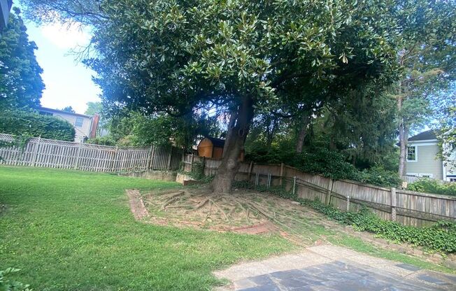 3 beds, 2 baths, $3,850