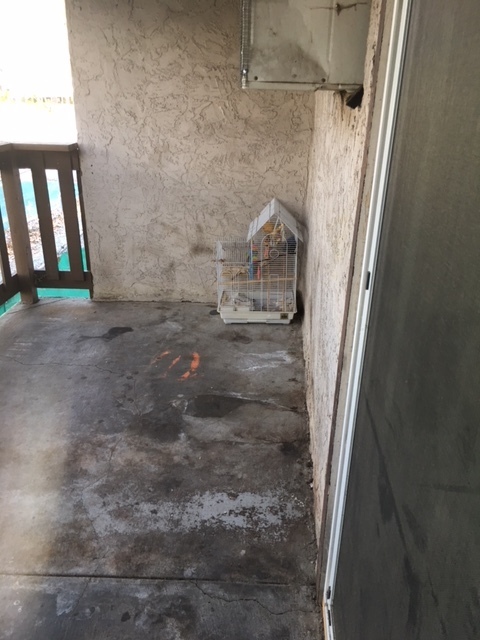 2 beds, 1 bath, 780 sqft, $2,300