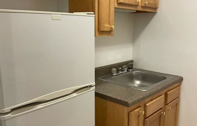 Studio, 1 bath, 467 sqft, $1,250, Unit King Edward Annex 24