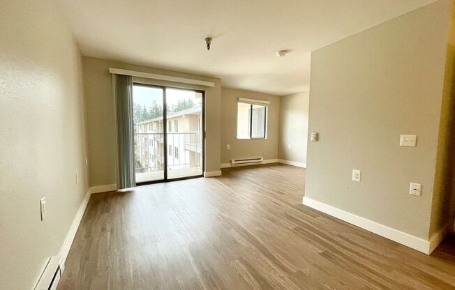 Studio, 1 bath, 480 sqft, $1,295, Unit 216