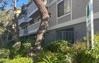 4608 Vista Del Monte