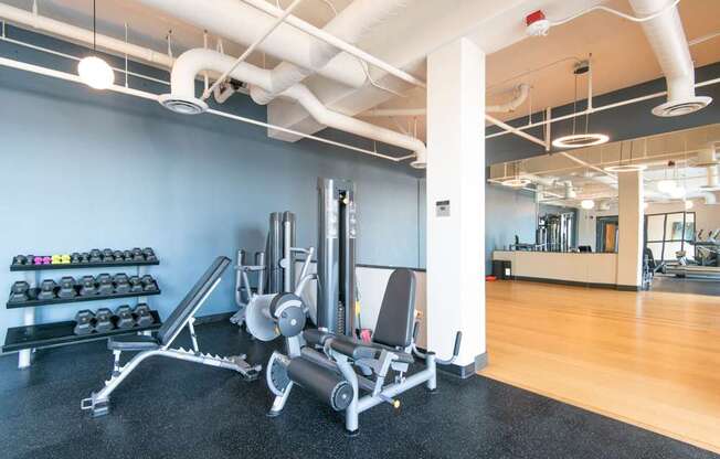A gym with a variety of equipment including weights and a bench press.