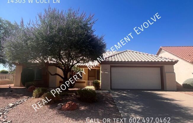 14303 W COLT LN